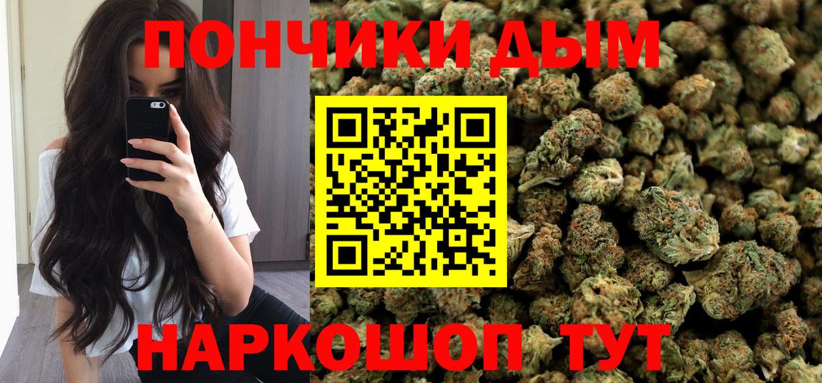 Галлюциногенные грибы Будённовск